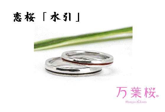 万葉桜より「恋桜」水引